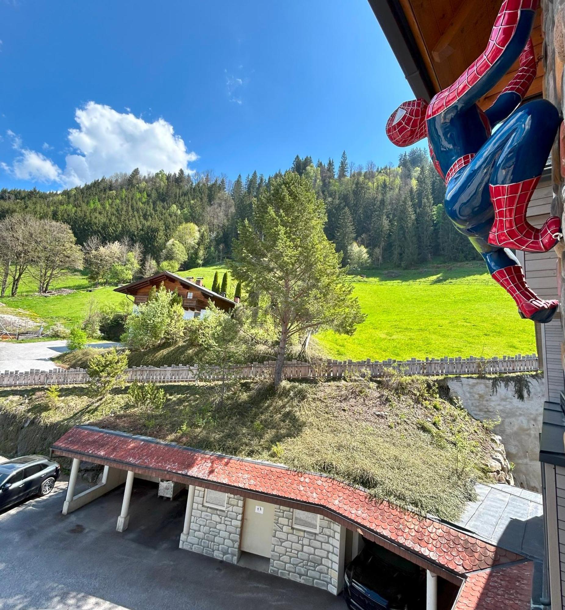 Weitenmoos Panorama Apartments Sankt Johann im Pongau Habitación foto